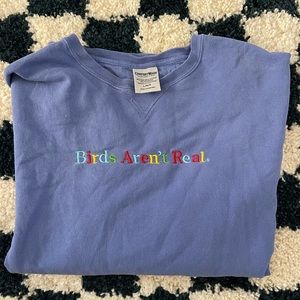 Birds Aren’t Real Blue Pullover
